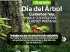 Cuidar el ambiente es cuidar la salud
