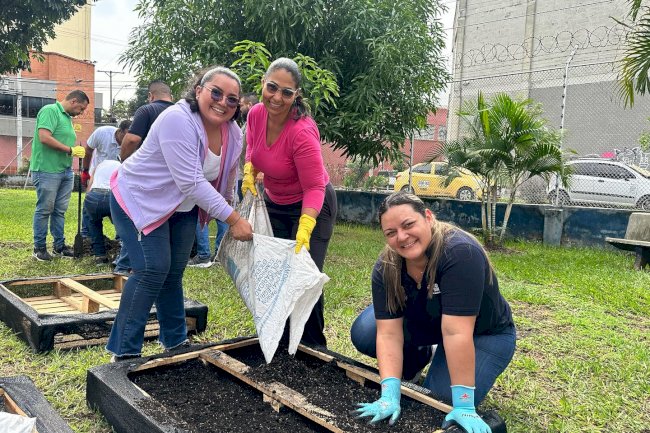Nuevas huertas medicinales 