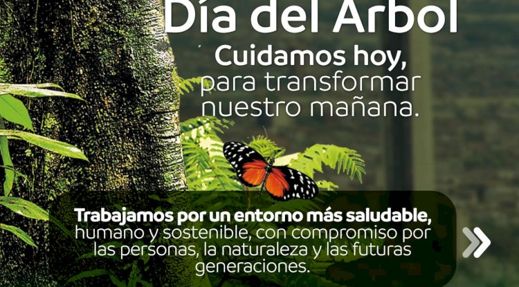 Cuidar el ambiente es cuidar la salud