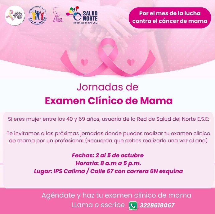 Octubre Rosa