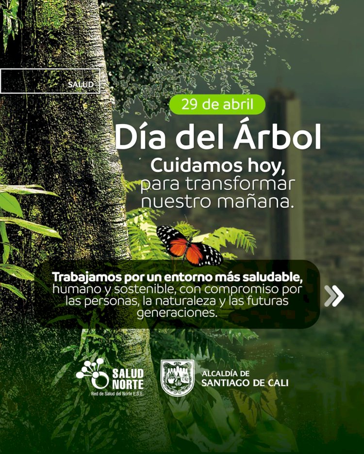 Cuidar el ambiente es cuidar la salud